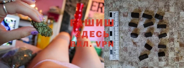 хмурый Магас