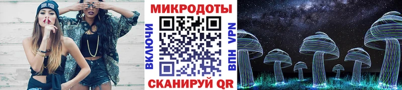 KRAKEN ONION Евпатория Псилоцибиновые грибы мицелий