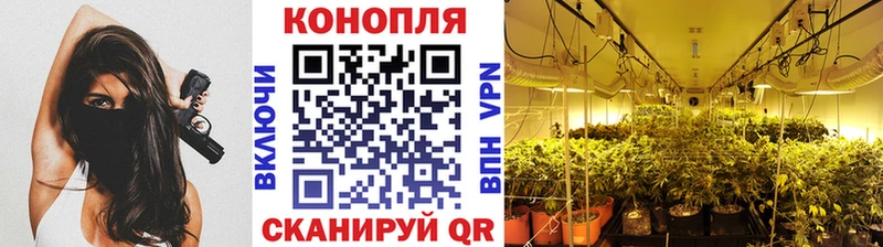 OMG онион Евпатория Шишки марихуана THC 21%